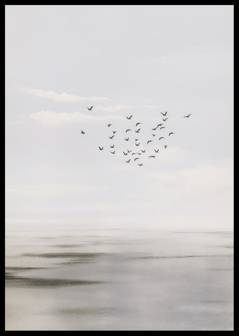 Birds soar in a soft sky over a calm sea.-12