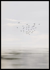 Gli uccelli volteggiano in un cielo sereno sopra un mare calmo.-2