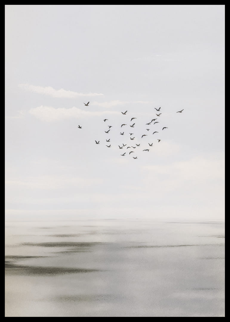 Gli uccelli volteggiano in un cielo sereno sopra un mare calmo.-12