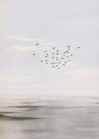 Birds soar in a soft sky over a calm sea.-7