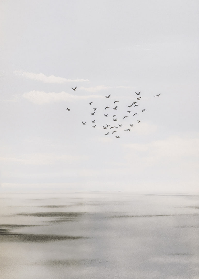 Birds soar in a soft sky over a calm sea.-12