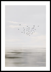 Birds soar in a soft sky over a calm sea.-0