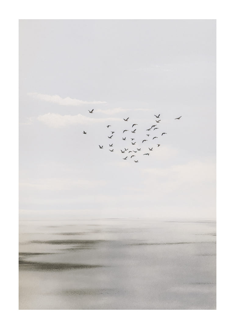 Gli uccelli volteggiano in un cielo sereno sopra un mare calmo.-12