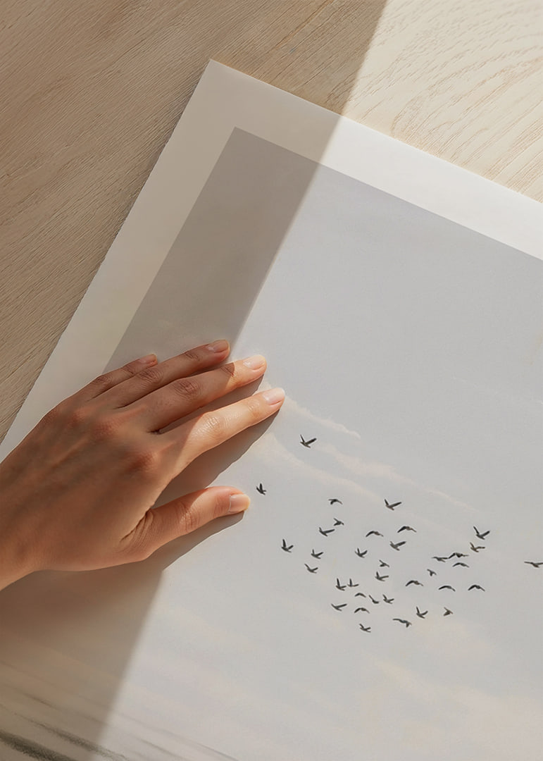 Birds soar in a soft sky over a calm sea.-12