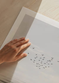 Gli uccelli volteggiano in un cielo sereno sopra un mare calmo.-5