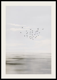 Birds soar in a soft sky over a calm sea.-2