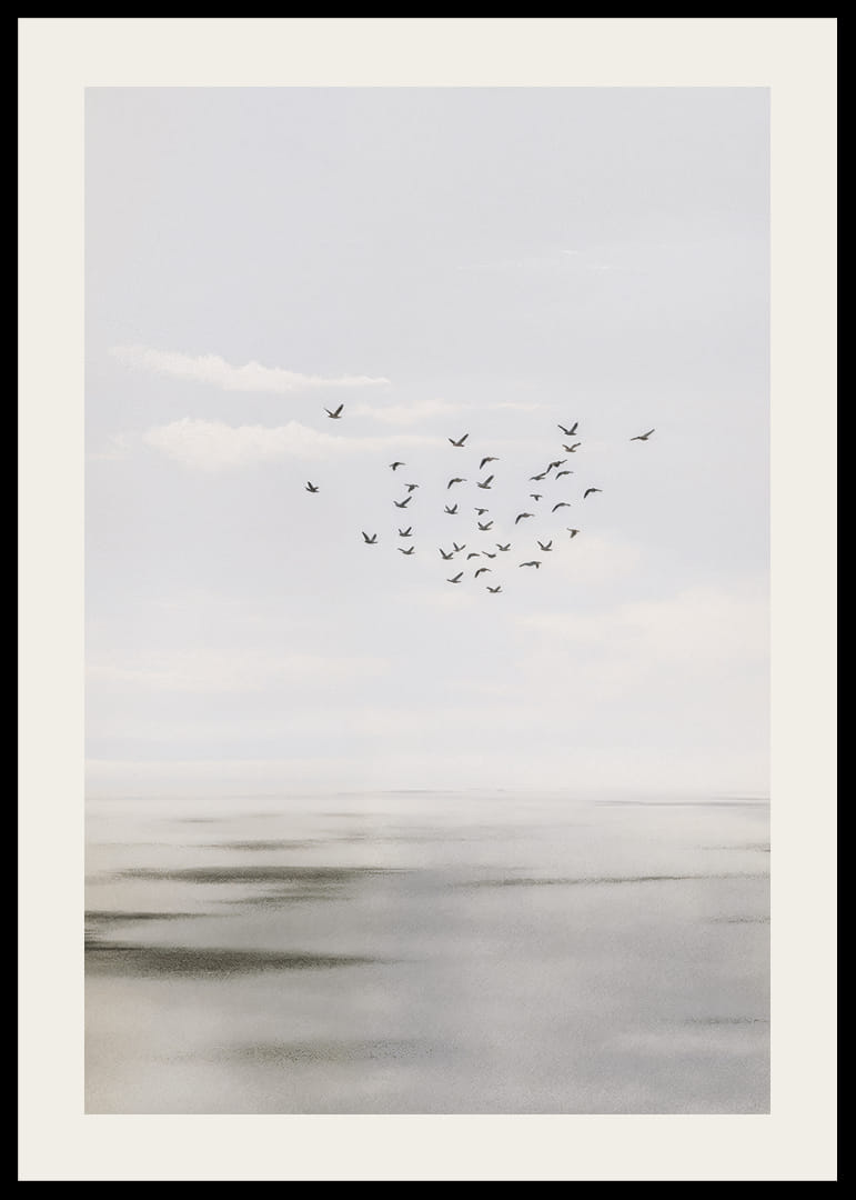 Fåglar svävar på en mjuk himmel över ett lugnt hav.-12