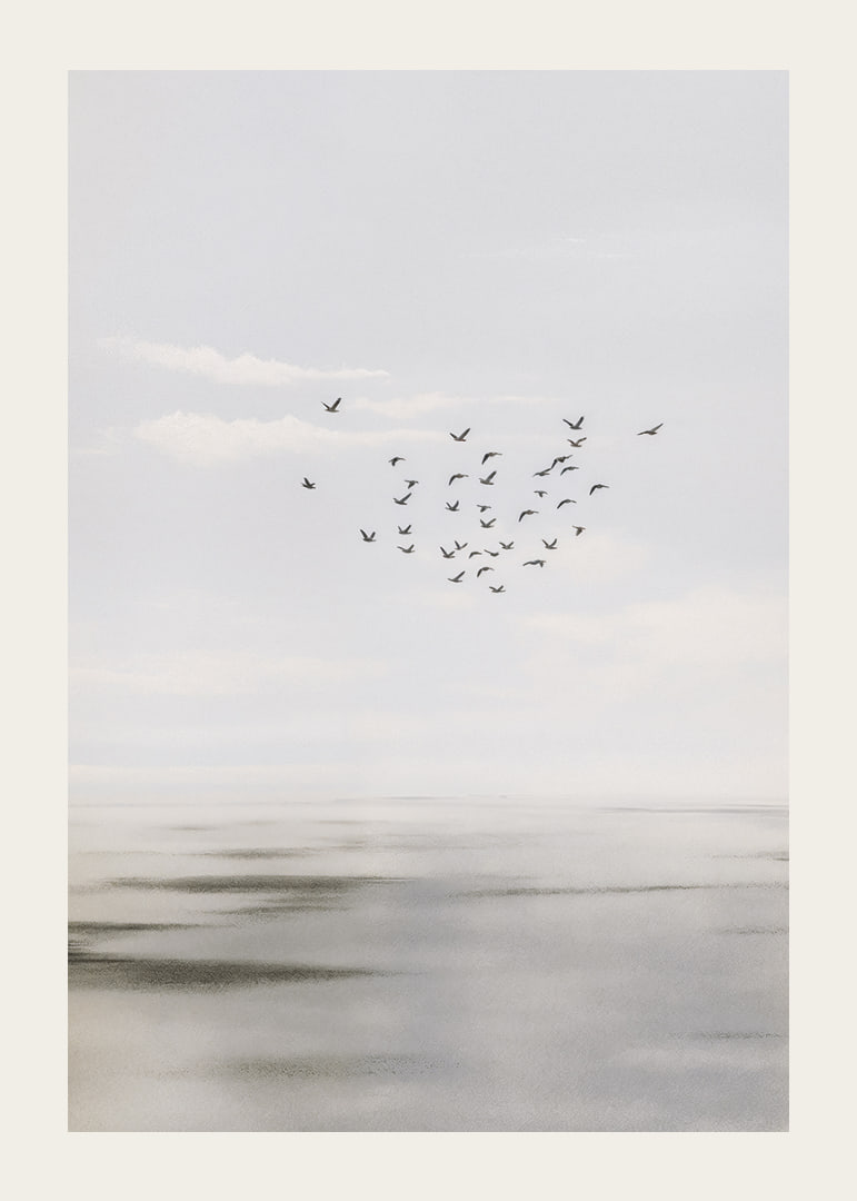 Birds soar in a soft sky over a calm sea.-12