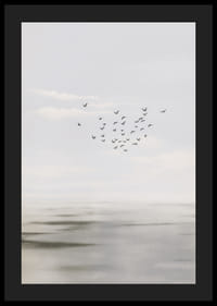 Fåglar svävar på en mjuk himmel över ett lugnt hav.-4