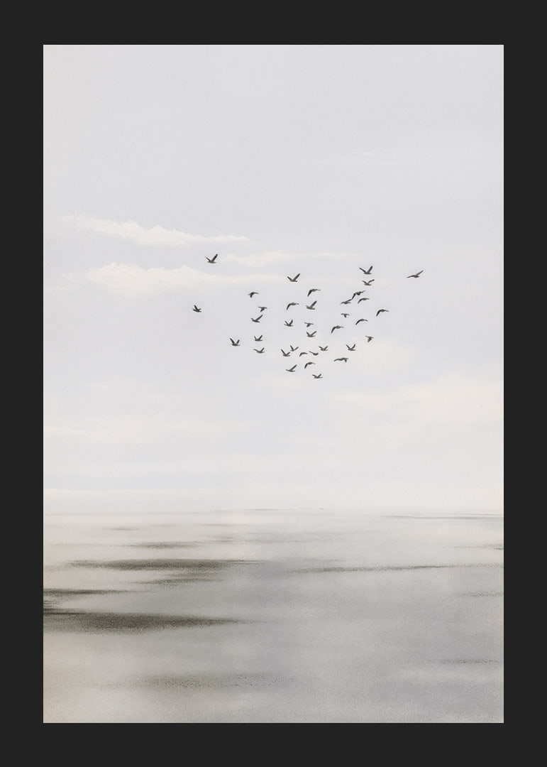 Birds soar in a soft sky over a calm sea.-12
