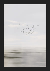 Fåglar svävar på en mjuk himmel över ett lugnt hav.-5