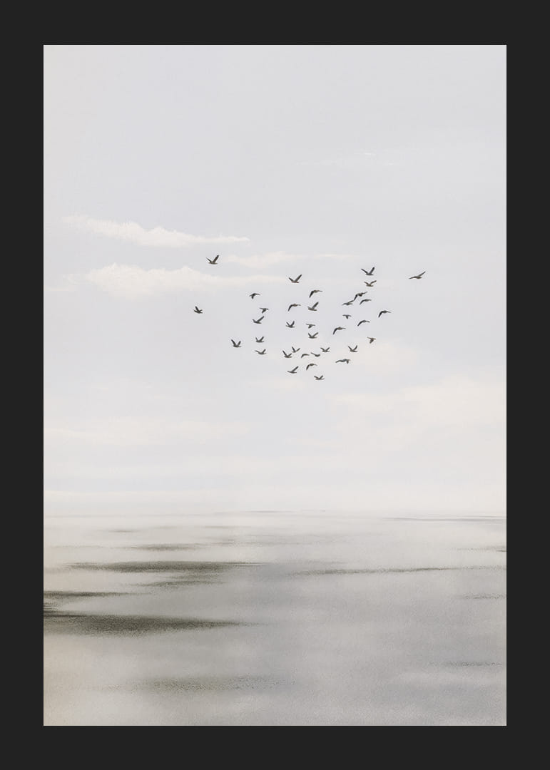 Fåglar svävar på en mjuk himmel över ett lugnt hav.-12