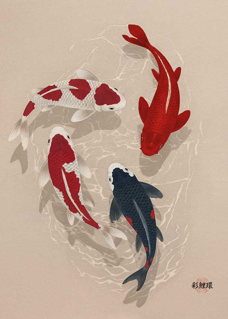 Colorful koi fish sweep through water in perfect harmony.-12