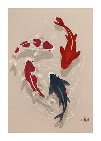 Affiche Whispers Of The Koi