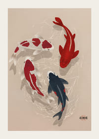 Färgglada koifiskar sveper genom vatten i perfekt harmoni.-3