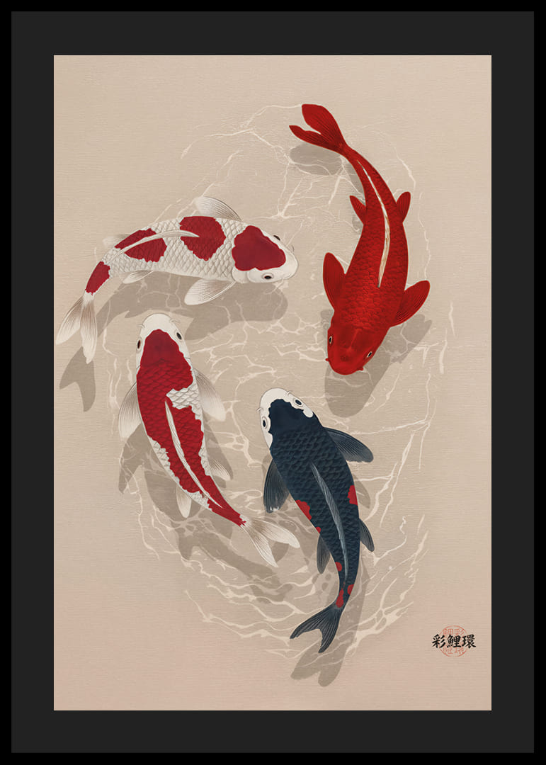 Färgglada koifiskar sveper genom vatten i perfekt harmoni.-12