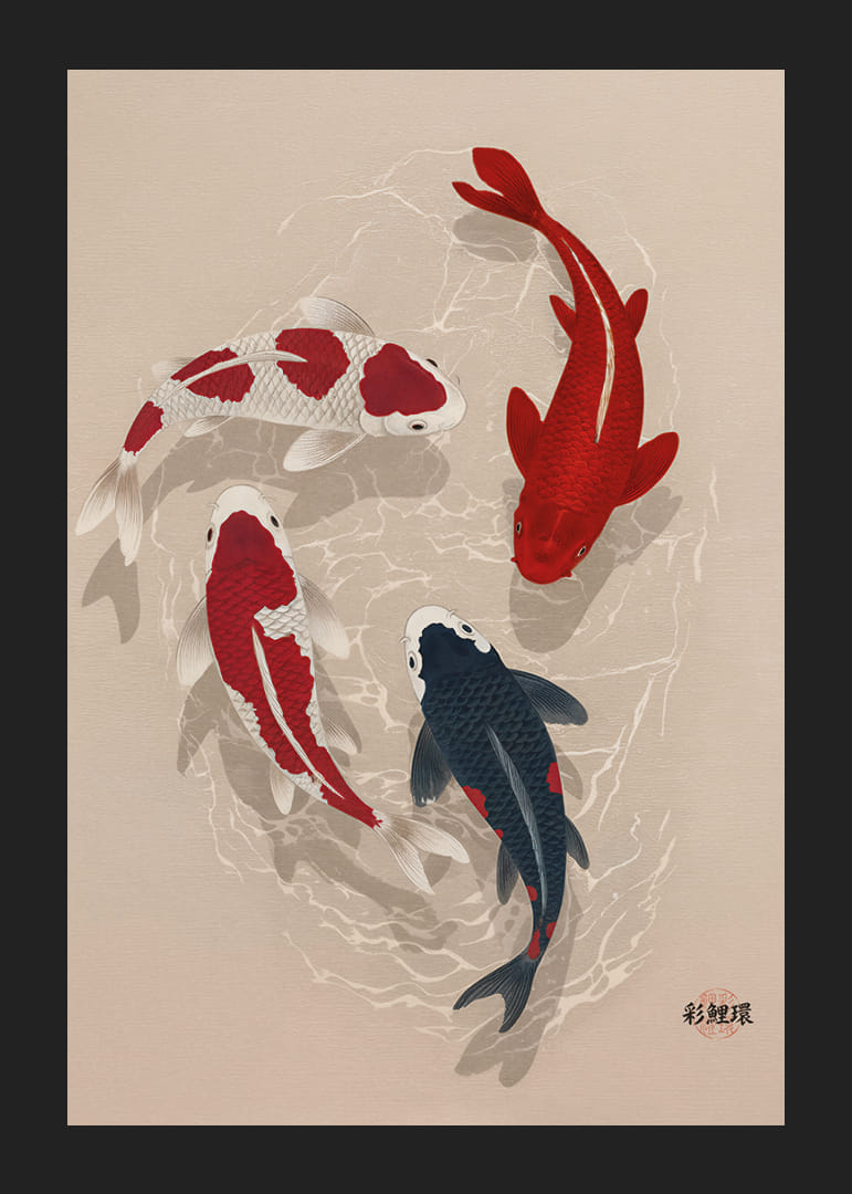 Färgglada koifiskar sveper genom vatten i perfekt harmoni.-12