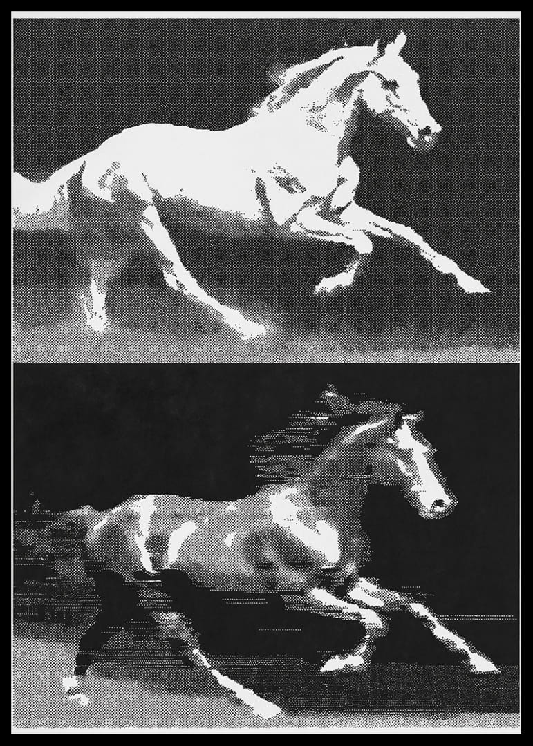 To heste i fantastisk bevægelse i et stilfuldt udtryk.-12