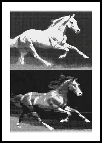 Poster Horses In Symphony