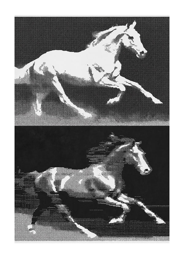 Póster Horses In Symphony
