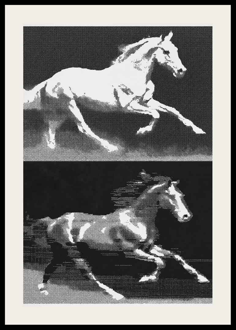 Two horses in fantastic movement in a stylish expression.-12