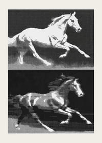 Two horses in fantastic movement in a stylish expression.-3
