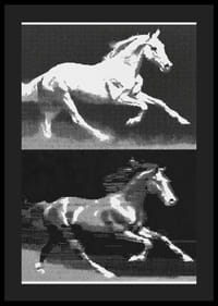 Two horses in fantastic movement in a stylish expression.-4
