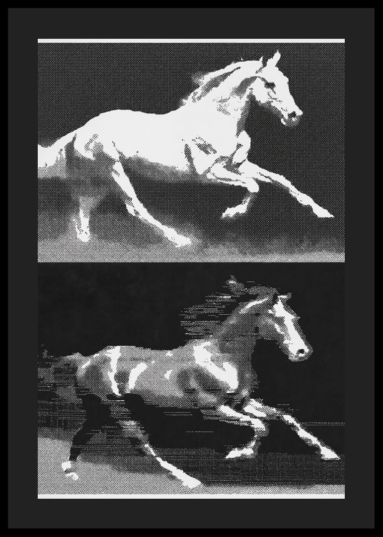 Two horses in fantastic movement in a stylish expression.-12