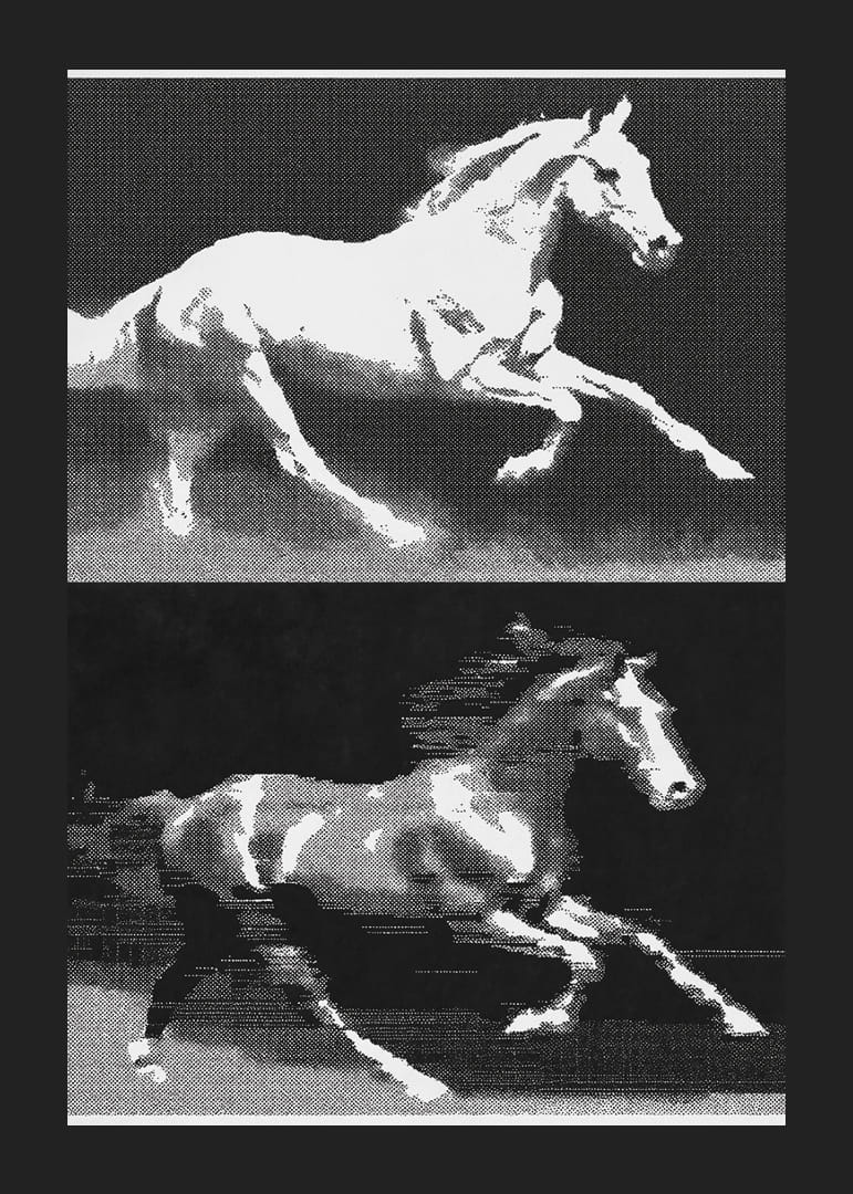 Two horses in fantastic movement in a stylish expression.-12