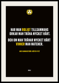 Roligt Tillsammans Brynäs-2