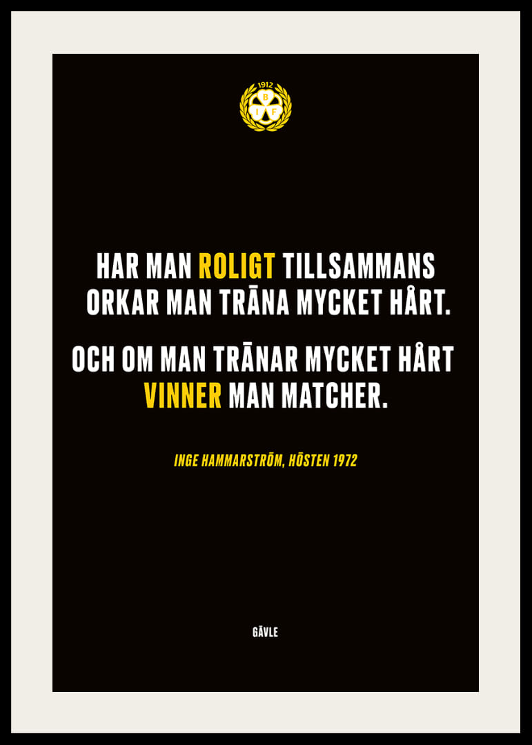 Roligt Tillsammans Brynäs-12