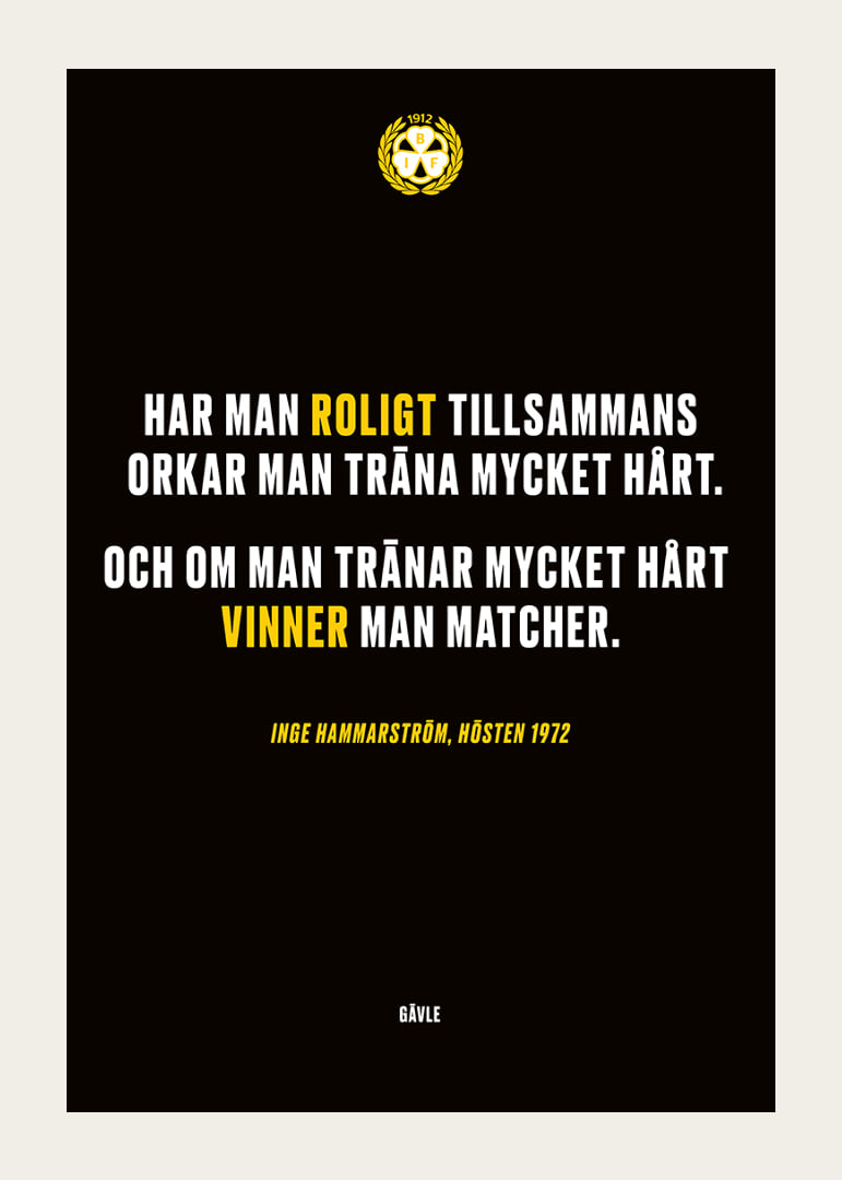 Roligt Tillsammans Brynäs-12