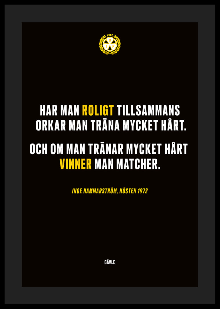 Roligt Tillsammans Brynäs-12