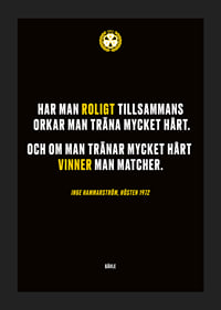 Roligt Tillsammans Brynäs-5