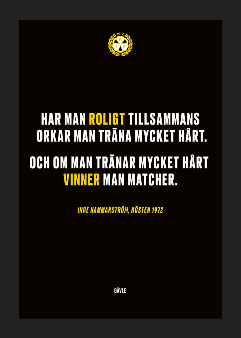 Roligt Tillsammans Brynäs-12