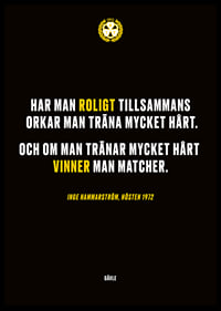 Roligt Tillsammans Brynäs-6