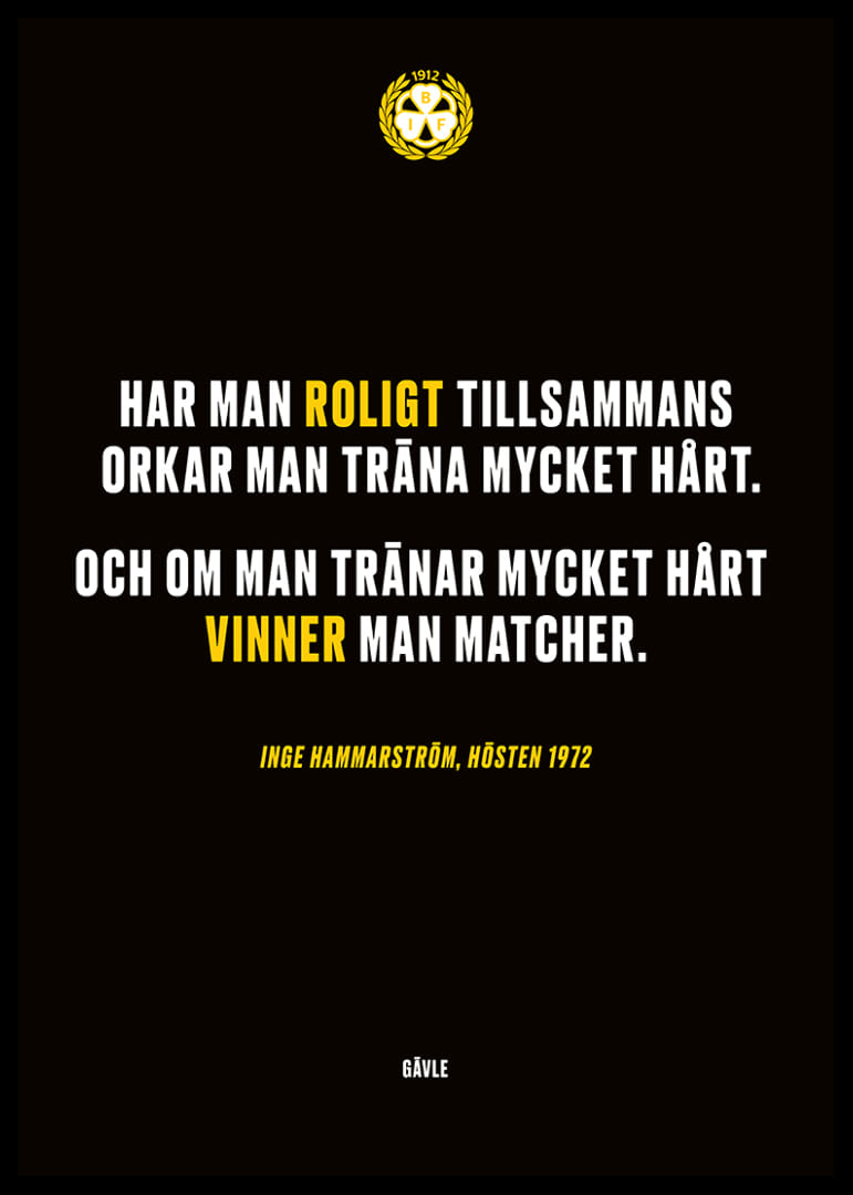 Roligt Tillsammans Brynäs-12