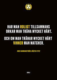 Roligt Tillsammans Brynäs-7
