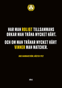 Roligt Tillsammans Brynäs-3