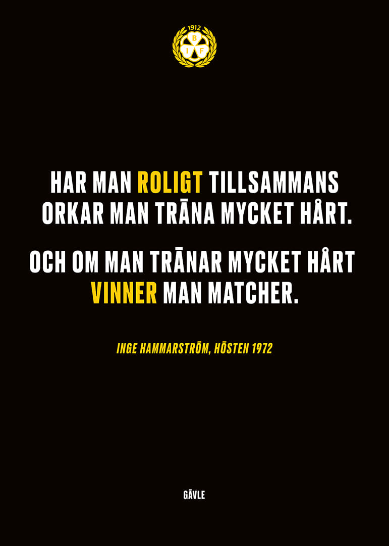 Roligt Tillsammans Brynäs-12