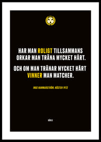 Roligt Tillsammans Brynäs-0