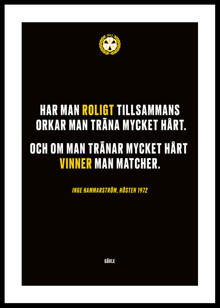 Roligt Tillsammans Brynäs-12