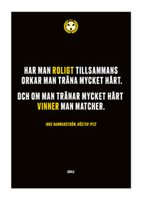 Roligt Tillsammans Brynäs-1