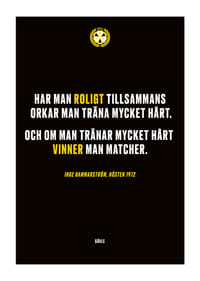Roligt Tillsammans Brynäs-1
