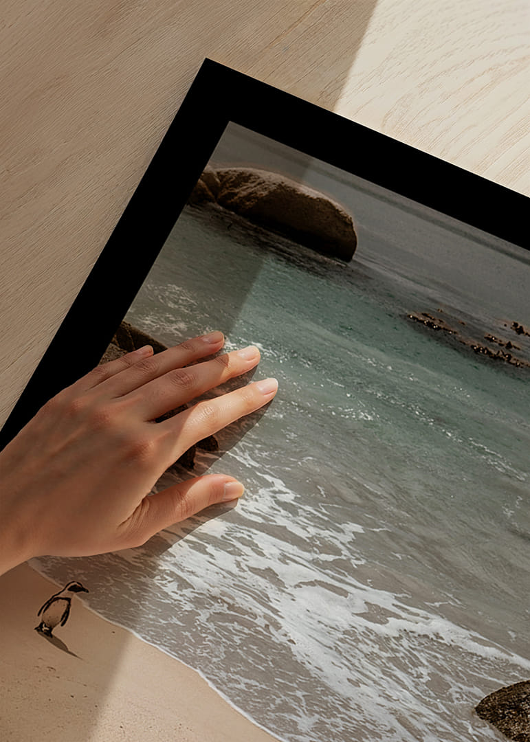 Des pingouins se promènent tranquillement le long d'une plage ensoleillée.-12