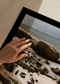 Des pingouins se rassemblent sur la rive rocheuse ensoleillée.-5