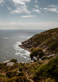 Le drame en bord de mer rencontre la tranquillité de la nature.-3