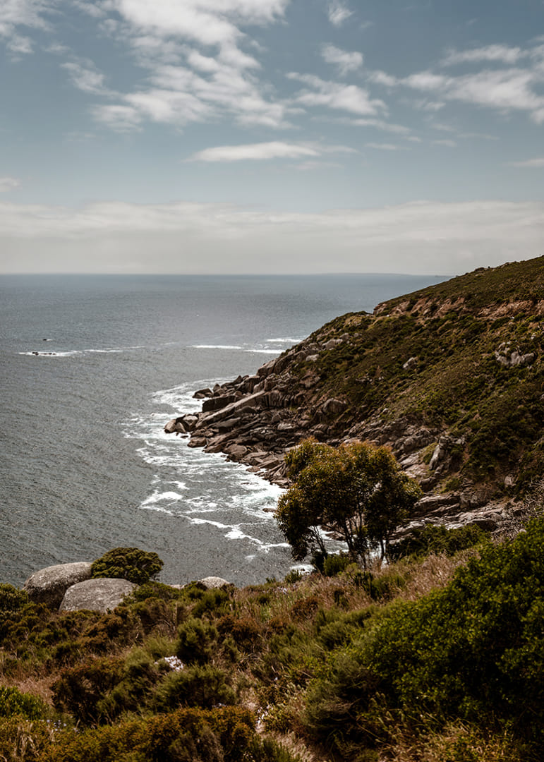 Le drame en bord de mer rencontre la tranquillité de la nature.-12