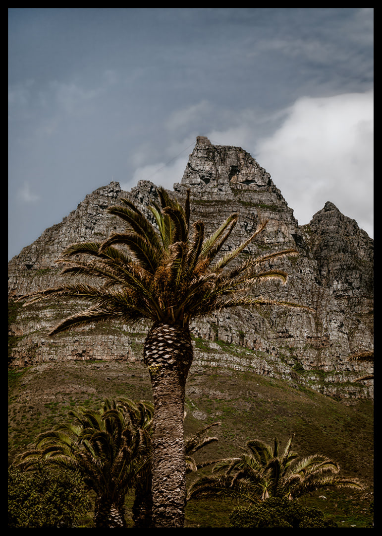 Dramatic mountains meet lush palm trees in a stunning view.-12