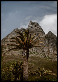 Des montagnes escarpées côtoient une végétation luxuriante de palmiers dans un panorama époustouflant.-2